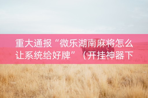重大通报“微乐湖南麻将怎么让系统给好牌”（开挂神器下载)