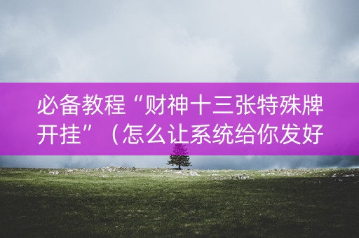 必备教程“财神十三张特殊牌开挂”（怎么让系统给你发好牌)