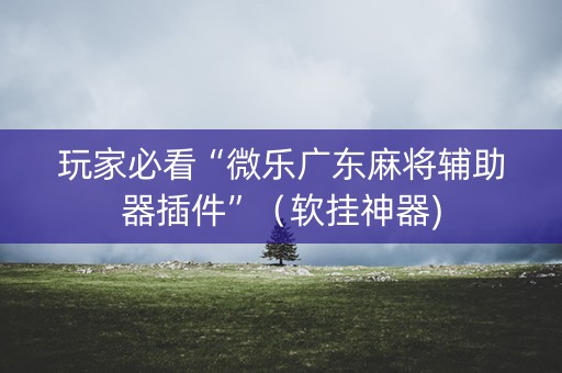 玩家必看“微乐广东麻将辅助器插件”（软挂神器)