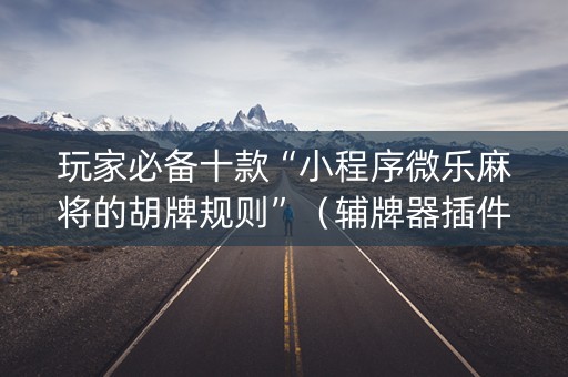 玩家必备十款“小程序微乐麻将的胡牌规则”（辅牌器插件购买)