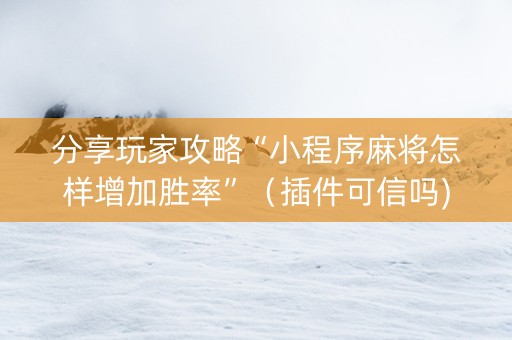 分享玩家攻略“小程序麻将怎样增加胜率”（插件可信吗)