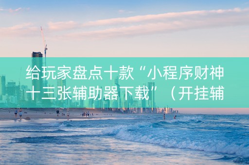 给玩家盘点十款“小程序财神十三张辅助器下载”（开挂辅助插件)