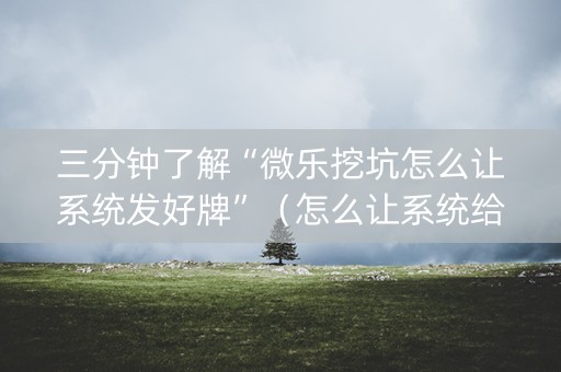 三分钟了解“微乐挖坑怎么让系统发好牌”（怎么让系统给自己好牌)