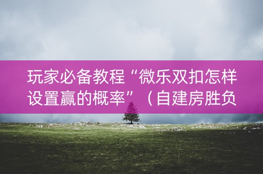 玩家必备教程“微乐双扣怎样设置赢的概率”（自建房胜负规律)