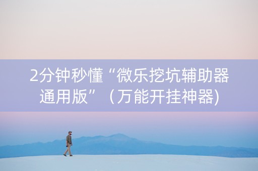 2分钟秒懂“微乐挖坑辅助器通用版”（万能开挂神器)