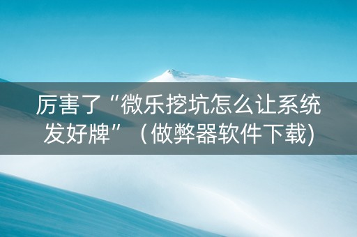 厉害了“微乐挖坑怎么让系统发好牌”（做弊器软件下载)