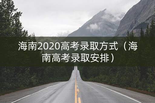 海南2020高考录取方式（海南高考录取安排）