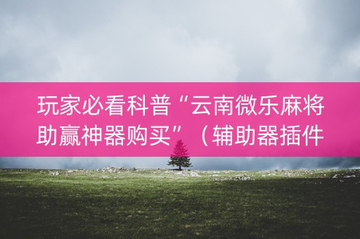 玩家必看科普“云南微乐麻将助赢神器购买”（辅助器插件)