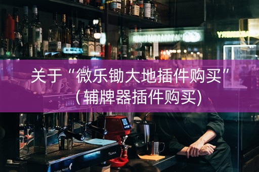 关于“微乐锄大地插件购买”（辅牌器插件购买)