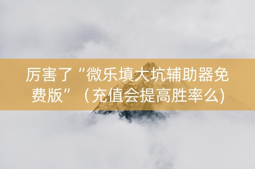 厉害了“微乐填大坑辅助器免费版”（充值会提高胜率么)