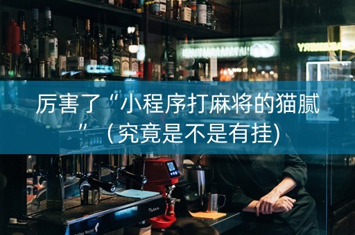 厉害了“小程序打麻将的猫腻”（究竟是不是有挂)
