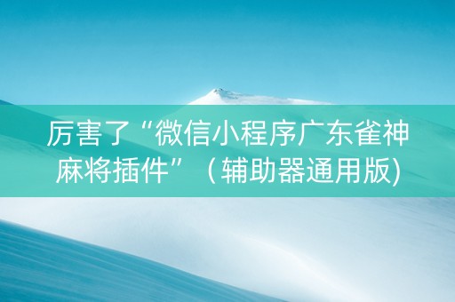 厉害了“微信小程序广东雀神麻将插件”（辅助器通用版)