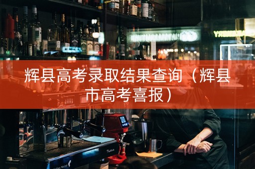 辉县高考录取结果查询（辉县市高考喜报）