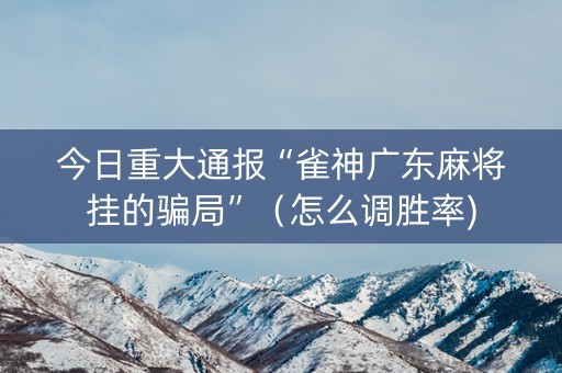 今日重大通报“雀神广东麻将挂的骗局”（怎么调胜率)