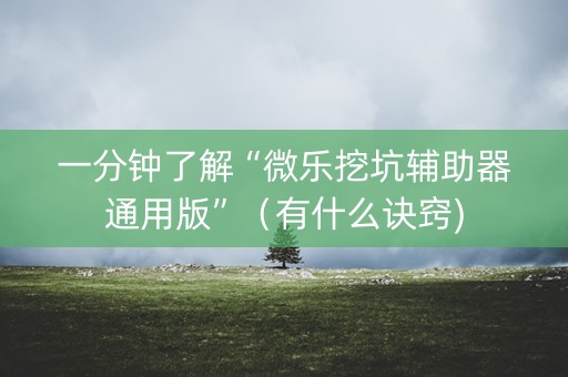 一分钟了解“微乐挖坑辅助器通用版”（有什么诀窍)