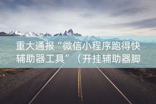 重大通报“微信小程序跑得快辅助器工具”（开挂辅助器脚本)