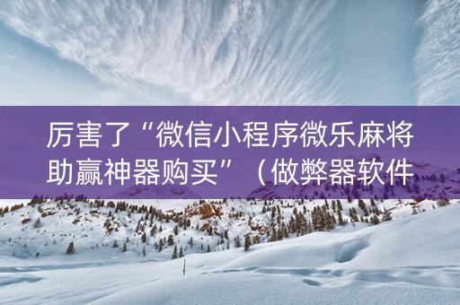 厉害了“微信小程序微乐麻将助赢神器购买”（做弊器软件下载)