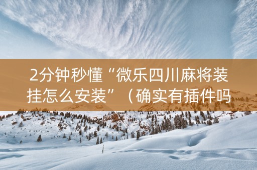 2分钟秒懂“微乐四川麻将装挂怎么安装”（确实有插件吗)