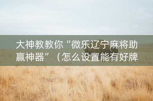 大神教教你“微乐辽宁麻将助赢神器”（怎么设置能有好牌)