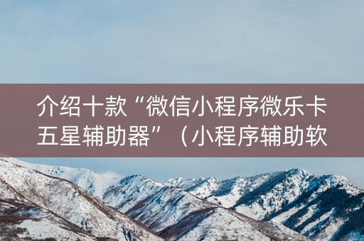介绍十款“微信小程序微乐卡五星辅助器”（小程序辅助软件)