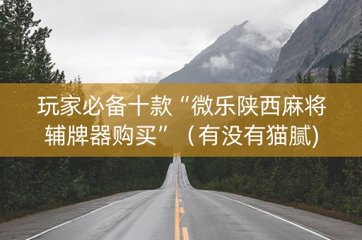 玩家必备十款“微乐陕西麻将辅牌器购买”（有没有猫腻)