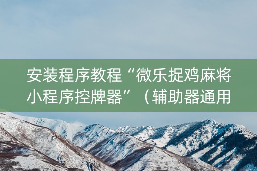 安装程序教程“微乐捉鸡麻将小程序控牌器”（辅助器通用版)