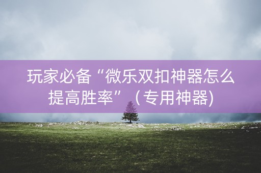 玩家必备“微乐双扣神器怎么提高胜率”（专用神器)