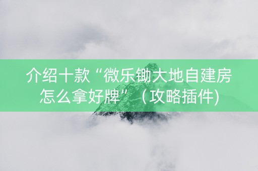 介绍十款“微乐锄大地自建房怎么拿好牌”（攻略插件)