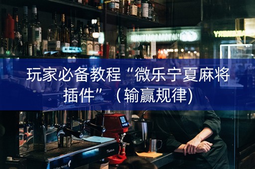 玩家必备教程“微乐宁夏麻将插件”（输赢规律)