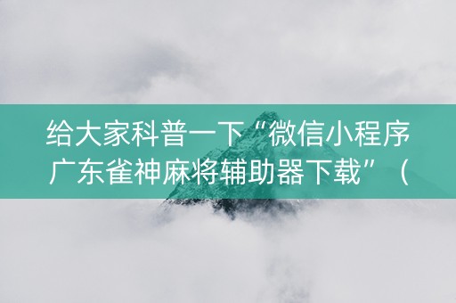 给大家科普一下“微信小程序广东雀神麻将辅助器下载”（助攻神器)