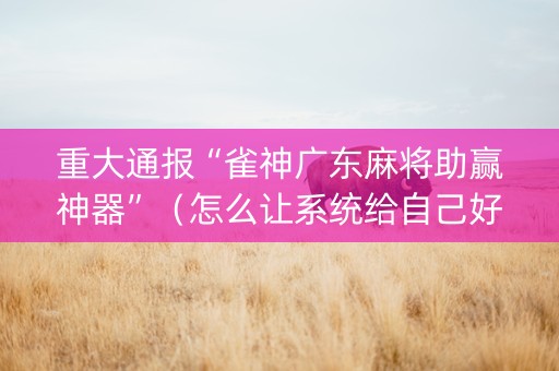 重大通报“雀神广东麻将助赢神器”（怎么让系统给自己好牌)