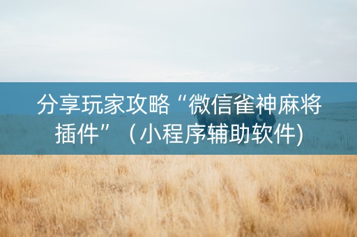分享玩家攻略“微信雀神麻将插件”（小程序辅助软件)