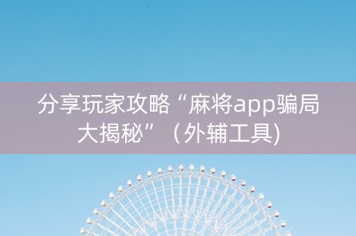 分享玩家攻略“麻将app骗局大揭秘”（外辅工具)