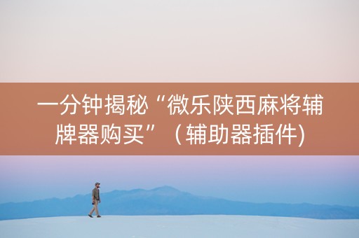 一分钟揭秘“微乐陕西麻将辅牌器购买”（辅助器插件)
