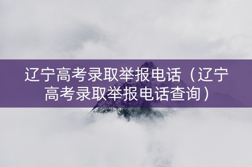 辽宁高考录取举报电话（辽宁高考录取举报电话查询）