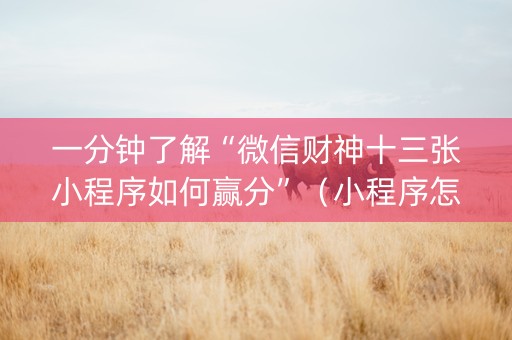 一分钟了解“微信财神十三张小程序如何赢分”（小程序怎么才会赢)