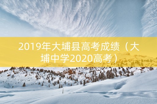 2019年大埔县高考成绩（大埔中学2020高考）