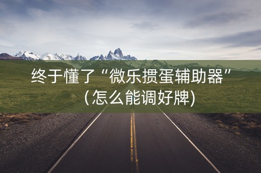 终于懂了“微乐掼蛋辅助器”（怎么能调好牌)