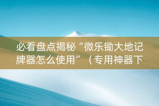 必看盘点揭秘“微乐锄大地记牌器怎么使用”（专用神器下载)