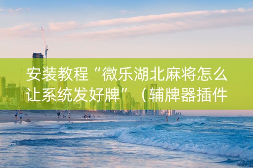安装教程“微乐湖北麻将怎么让系统发好牌”（辅牌器插件购买)