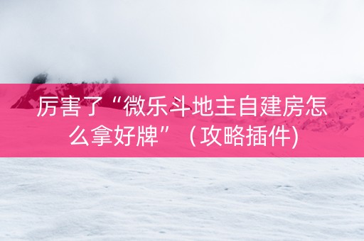 厉害了“微乐斗地主自建房怎么拿好牌”（攻略插件)