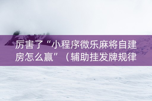 厉害了“小程序微乐麻将自建房怎么赢”（辅助挂发牌规律)