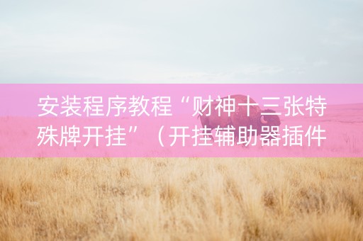 安装程序教程“财神十三张特殊牌开挂”（开挂辅助器插件)