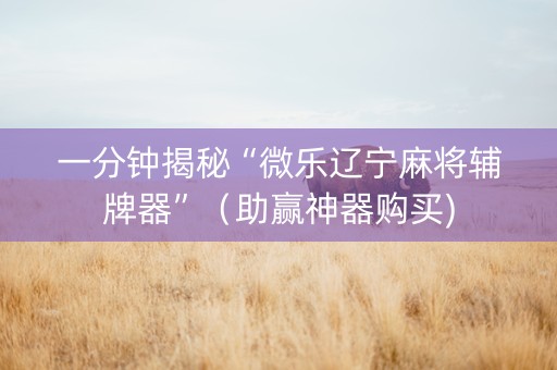 一分钟揭秘“微乐辽宁麻将辅牌器”（助赢神器购买)