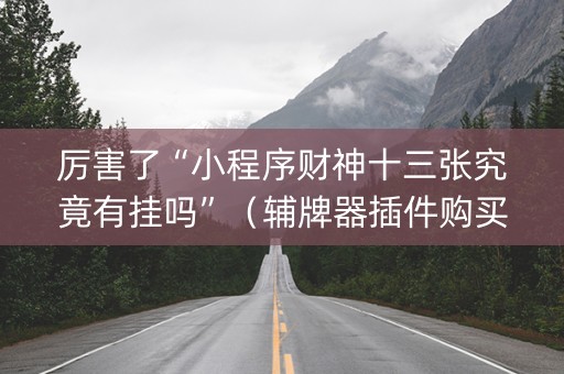 厉害了“小程序财神十三张究竟有挂吗”（辅牌器插件购买)