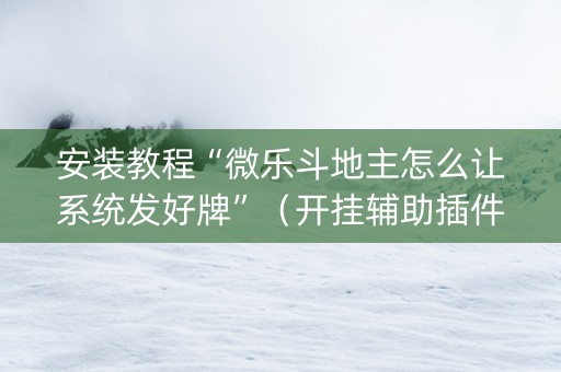 安装教程“微乐斗地主怎么让系统发好牌”（开挂辅助插件)