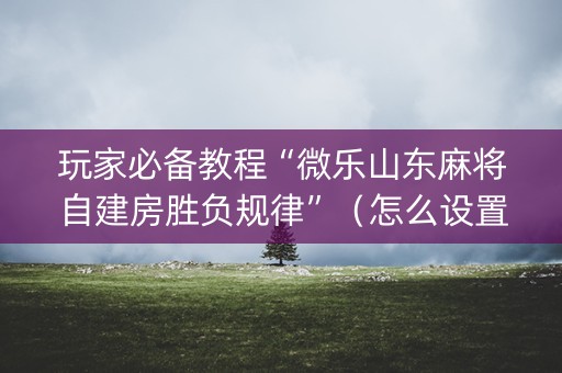 玩家必备教程“微乐山东麻将自建房胜负规律”（怎么设置能有好牌)