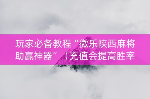 玩家必备教程“微乐陕西麻将助赢神器”（充值会提高胜率么)