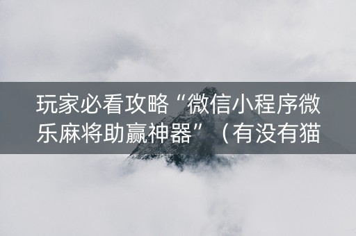玩家必看攻略“微信小程序微乐麻将助赢神器”（有没有猫腻)
