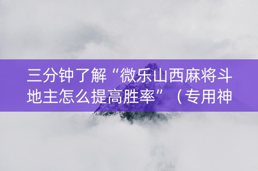 三分钟了解“微乐山西麻将斗地主怎么提高胜率”（专用神器)